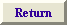 Return to Home Page